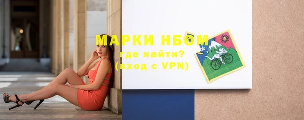 spice Богородск