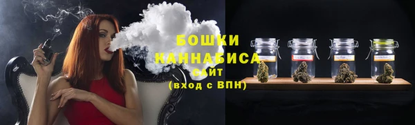 spice Богородск