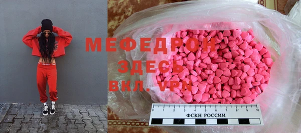 spice Богородск