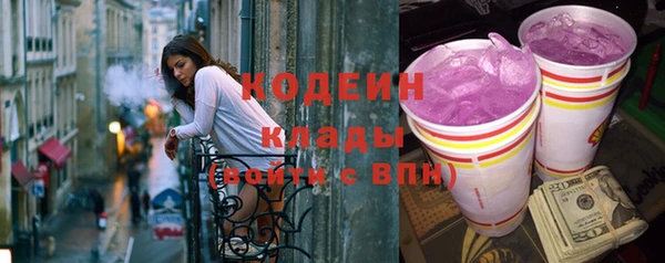 spice Богородск