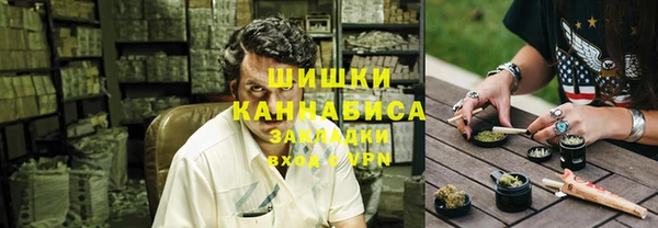 spice Богородск