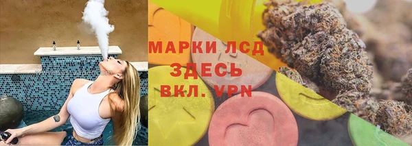 spice Богородск